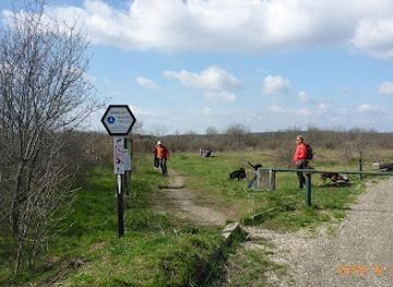 hungary/southern-great-plain/attraction/tetenyi-fennsik-tanosveny