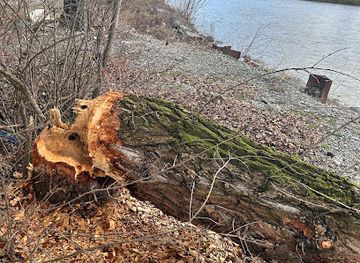 slovakia/trencin/attraction/vodopad-tn