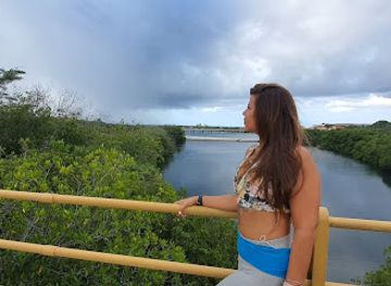 aruba/mangel-halto/attraction/linear-park-spaans-lagoen