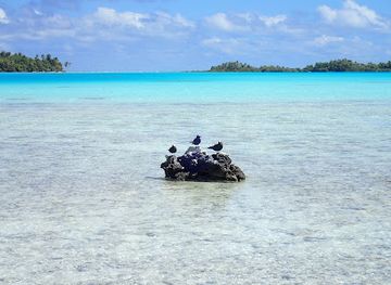 french-polynesia/rangiroa/attraction/orava-excursions