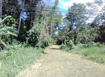 costa-rica/cahuita-national-park/attraction/ainker-sta-cahuita-nature-watch