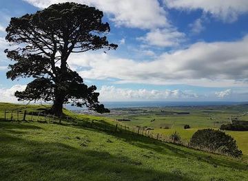 new-zealand/tauranga/attraction/papamoa-hills-cultural-heritage-regional-park