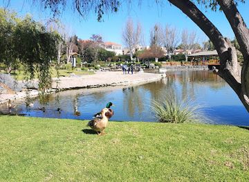 chile/la-serena/avenida-del-mar/attraction/japones-la-serena-garden