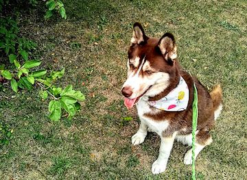 michigan/grand-rapids/heritage-hill/attraction/heritage-hill-park