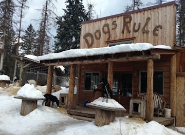 montana/whitefish-mountain-resort/attraction/dog-sled-adventures