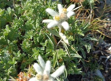 france/ecrins-national-park/attraction/croix-de-la-salcette