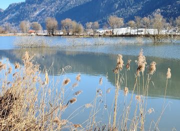 austria/gurktal/attraction/bleistatter-moor