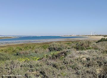 portugal/ria-formosa-natural-park/attraction/boardwalk