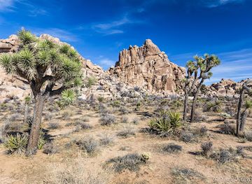 california/southern-california/attraction/hidden-valley-nature-trail-trailhead