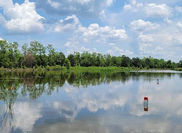 louisiana/bayou-teche/attraction/crawfish-tours