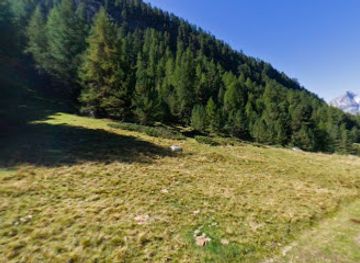 switzerland/st-moritz/attraction/moorwiese-von-st-moritz