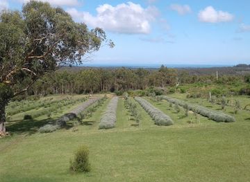 uruguay/piriapolis/attraction/chacra-erbabuona