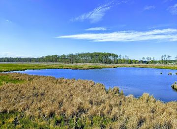 maryland/blackwater-national-wildlife-refuge/attraction/observation-site