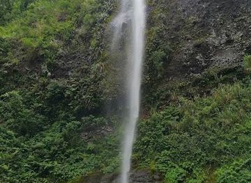 fiji/nadi/attraction/koroyanitu-national-park