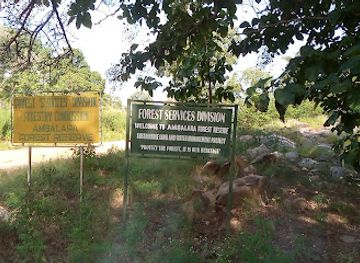 ghana/upper-west-region/attraction/ambalara-forest-reserve