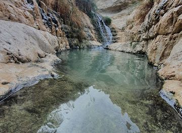 israel/ein-gedi/attraction/maarat-dodim
