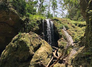 puerto-rico/dorado/attraction/cuevas-arenales