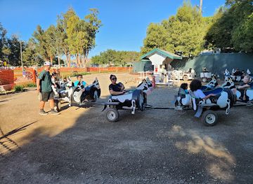 california/livermore/attraction/g-m-farms