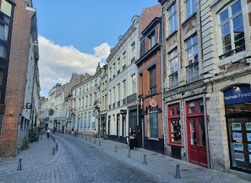 france/lille/centre-ville/attraction/le-vieux-lille