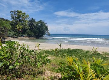 costa-rica/caribbean-coast/attraction/parque-nacional-cahuita