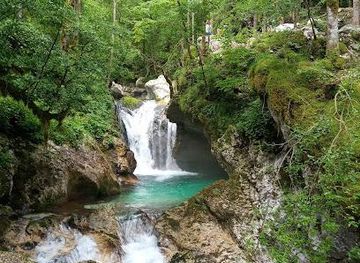 slovenia/bohinj/attraction/sunikov-vodni-gaj