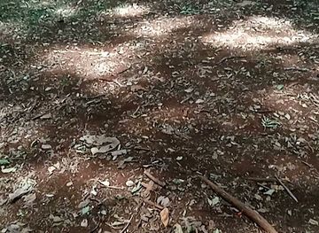 kenya/nairobi/attraction/picnic-spot