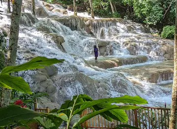 The World Famous Dunn's River Falls & Park