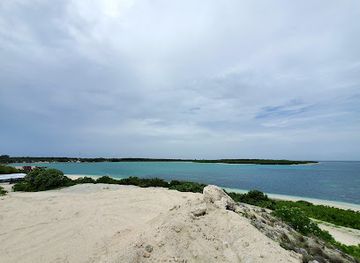 maldives/haa-alif-atoll/attraction/baarashu-usfasgandu