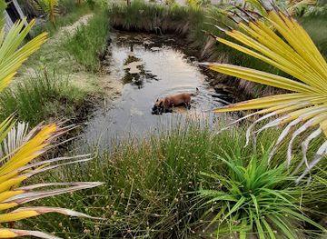 cote-d-ivoire/assinie/attraction/respect-familly