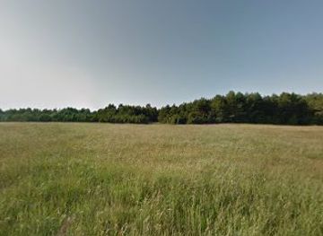 estonia/kärdla/attraction/hiiesaare-silmakivi