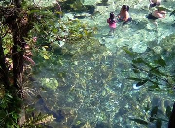 mexico/cancun/attraction/dolphin-discovery-cancun