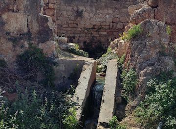 lebanon/south-lebanon/attraction/tyre-coast-nature-reserve