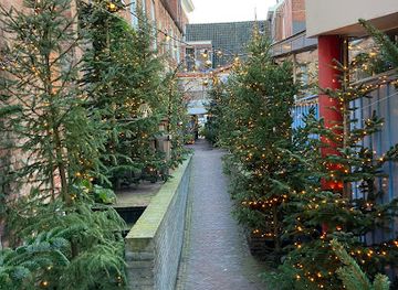 netherlands/groningen/attraction/via-vecchia