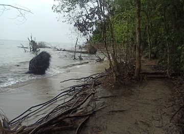 costa-rica/cahuita-national-park/attraction/bahia-don-bato
