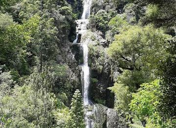 new-zealand/auckland/attraction/kitekite-falls