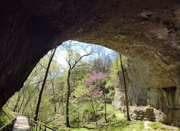 illinois/illinois-ozarks/attraction/smallin-civil-war-cave