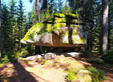 czechia/sumava-national-park/attraction/medvedi-stezka