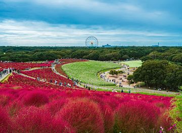 japan/hitachi/attraction/miharashi-no-oka