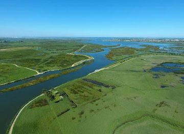 portugal/porto/attraction/bioria-estarreja