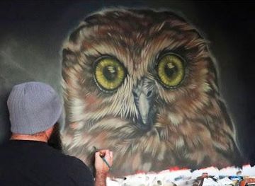 new-zealand/tauranga/attraction/okorore-nga-toi-maori-gallery-studios-faulkner-house