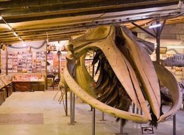 uruguay/punta-del-este/attraction/museo-del-mar