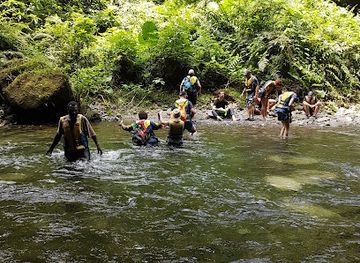 vanuatu/aore-island/attraction/millennium-cave
