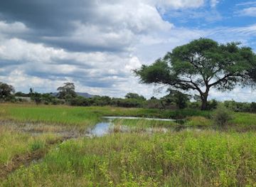 zambia/blue-lagoon-national-park/attraction/zedverts-zambia-limited-fish-and-wildlife-farm