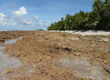tuvalu/funafuti/attraction/fatato-beach