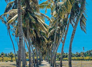 maldives/thoddoo/attraction/ruhgandu-thoddoo