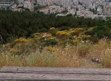 Viewpoint