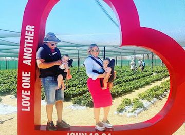 namibia/erongo/attraction/edenberry-strawberry-farm