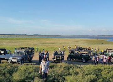 sri-lanka/anuradhapura/attraction/habarana-jungle-creepers-safari