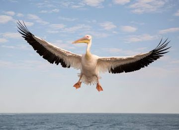 namibia/erongo/attraction/swakop-dunes-desert-tours