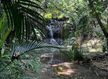 saint-lucia/vieux-fort/attraction/latille-falls-garden